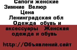 Сапоги женские. Зимние. Велюр. Ria Rosa › Цена ­ 2 000 - Ленинградская обл. Одежда, обувь и аксессуары » Женская одежда и обувь   